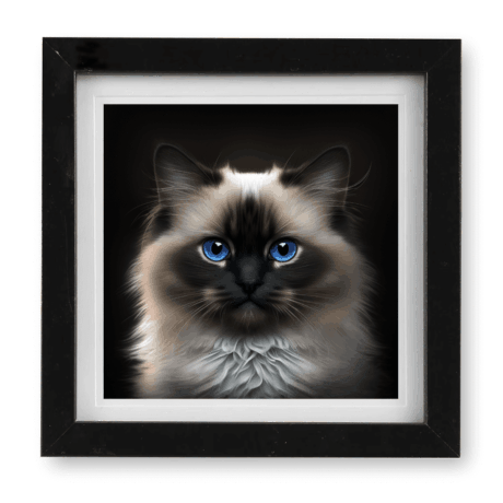 Birman v2