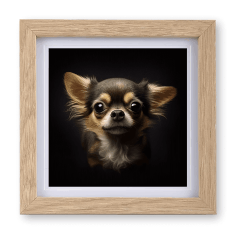 Chihuahua v2