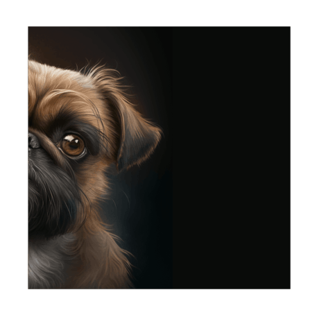 Brussels Griffon v1