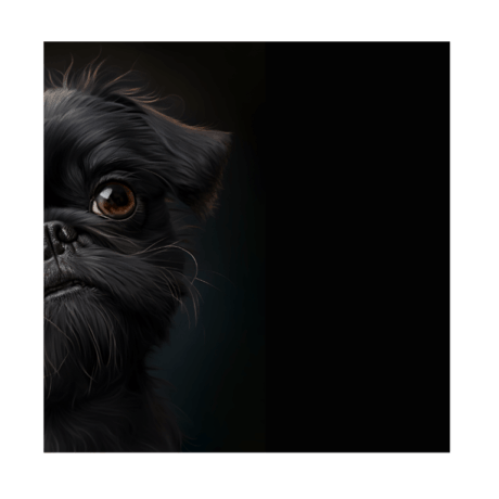 Brussels Griffon v2