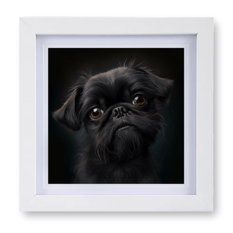 Brussels Griffon v2