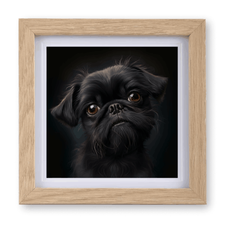 Brussels Griffon v2