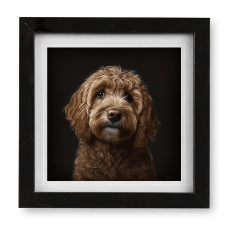 Labradoodle v1