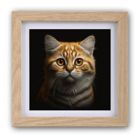 Tabby v2