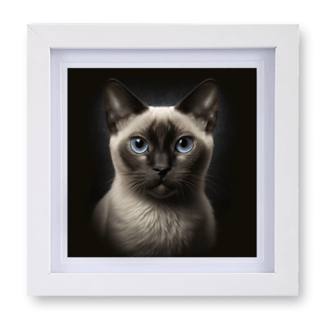 Siamese v1