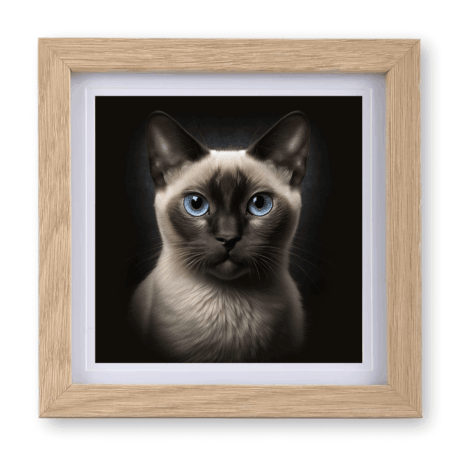 Siamese v1