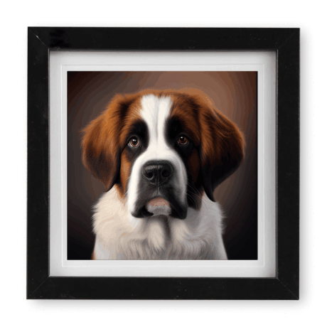 St Bernard v1