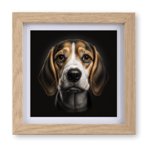 Beagle v2