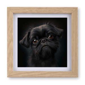 Brussels Griffon v2