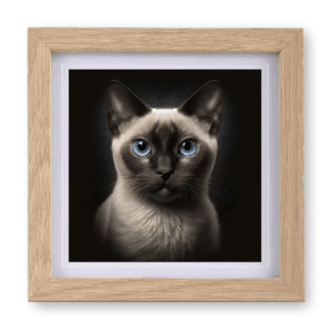 Siamese v1