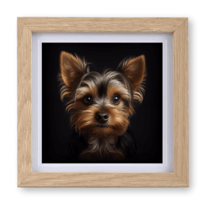 Yorkshire Terrier v2