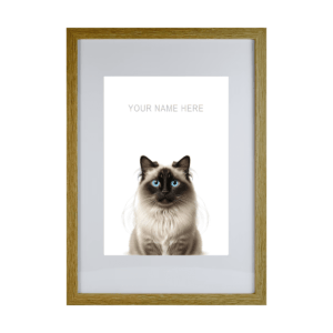 Birman v2