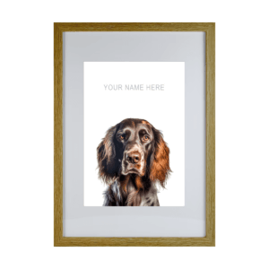 Irish Setter / Red Setter