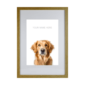Golden Retriever v4